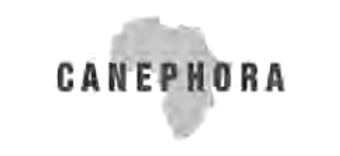 Canephora